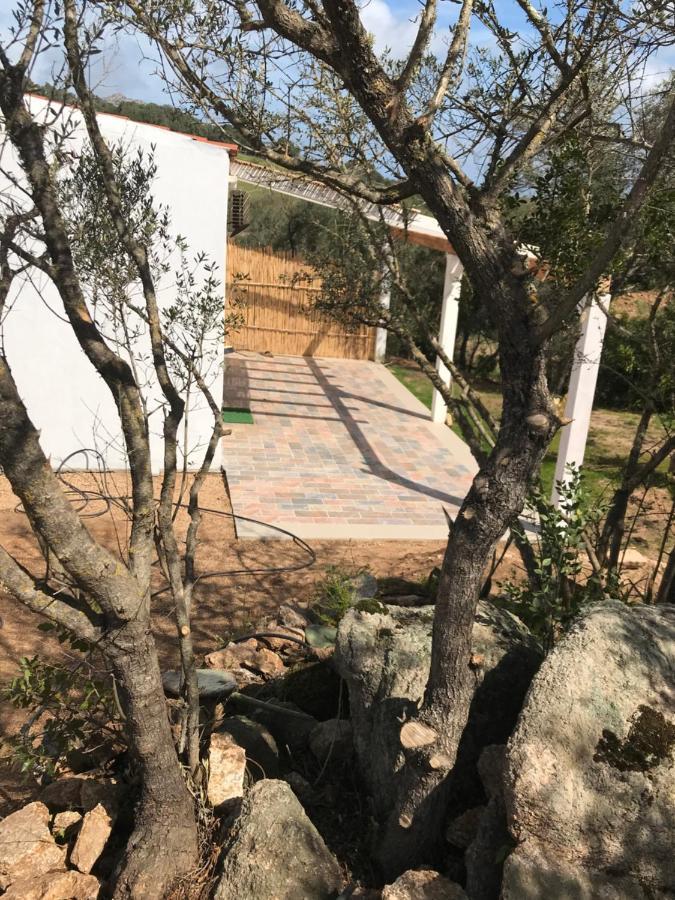 Hotel La Fragola In Campagna 6 K M Da San Pantaleo Exteriér fotografie