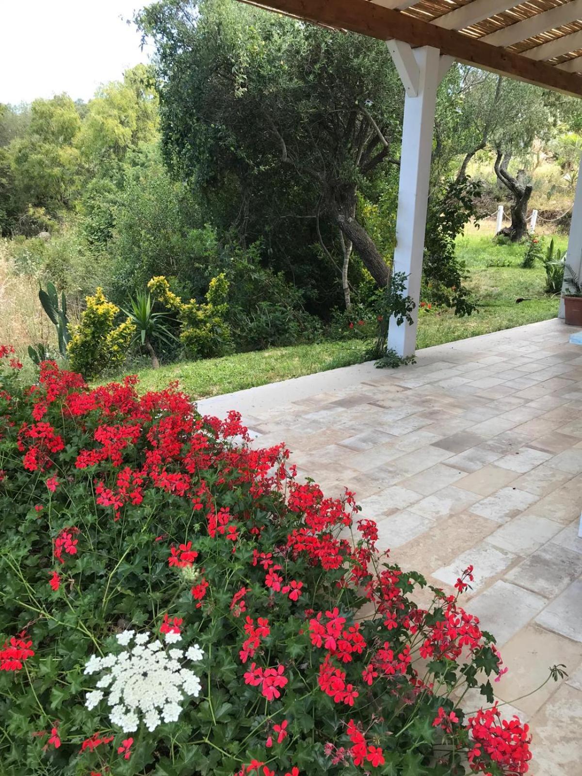Hotel La Fragola In Campagna 6 K M Da San Pantaleo Exteriér fotografie