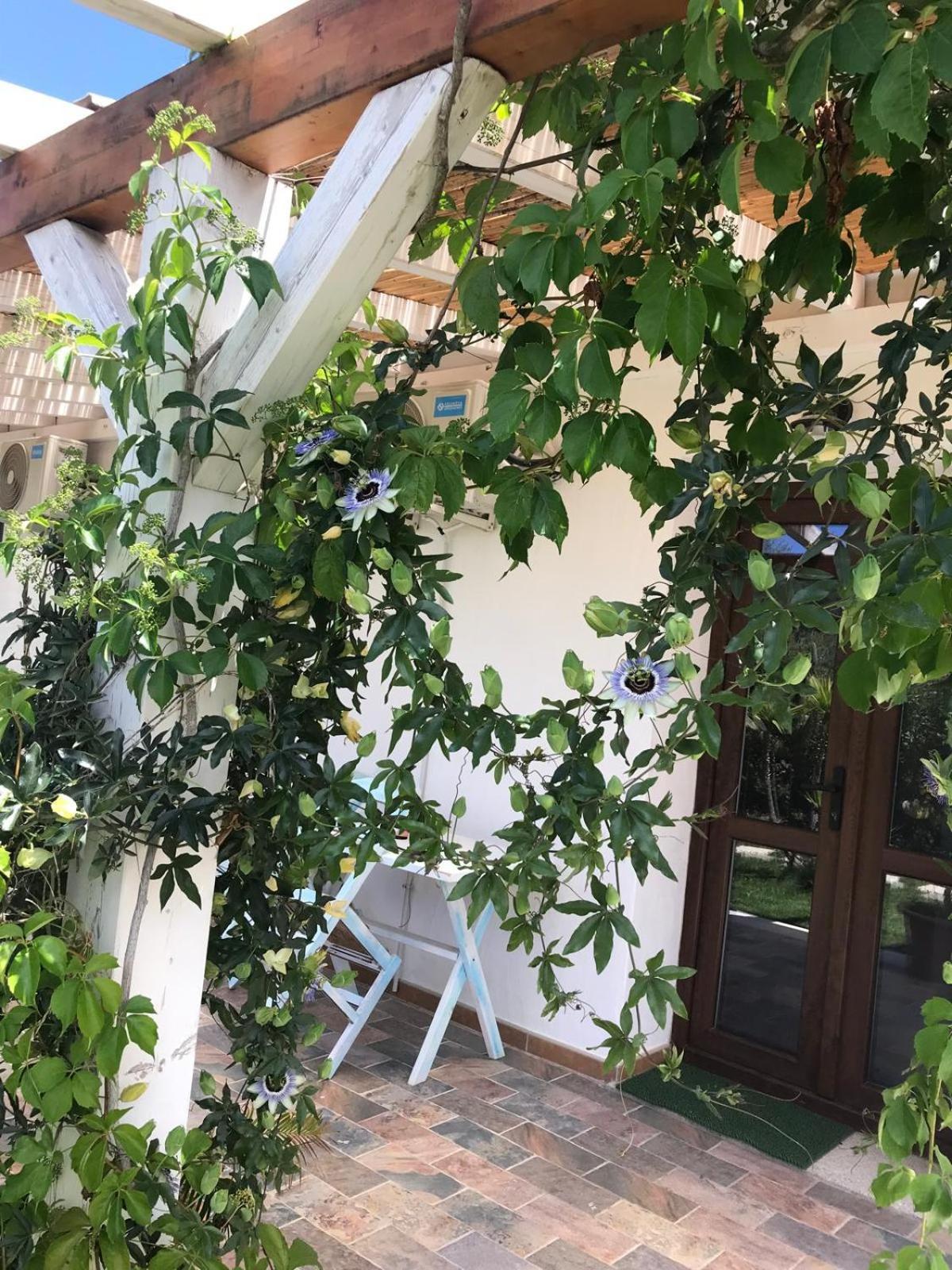 Hotel La Fragola In Campagna 6 K M Da San Pantaleo Exteriér fotografie