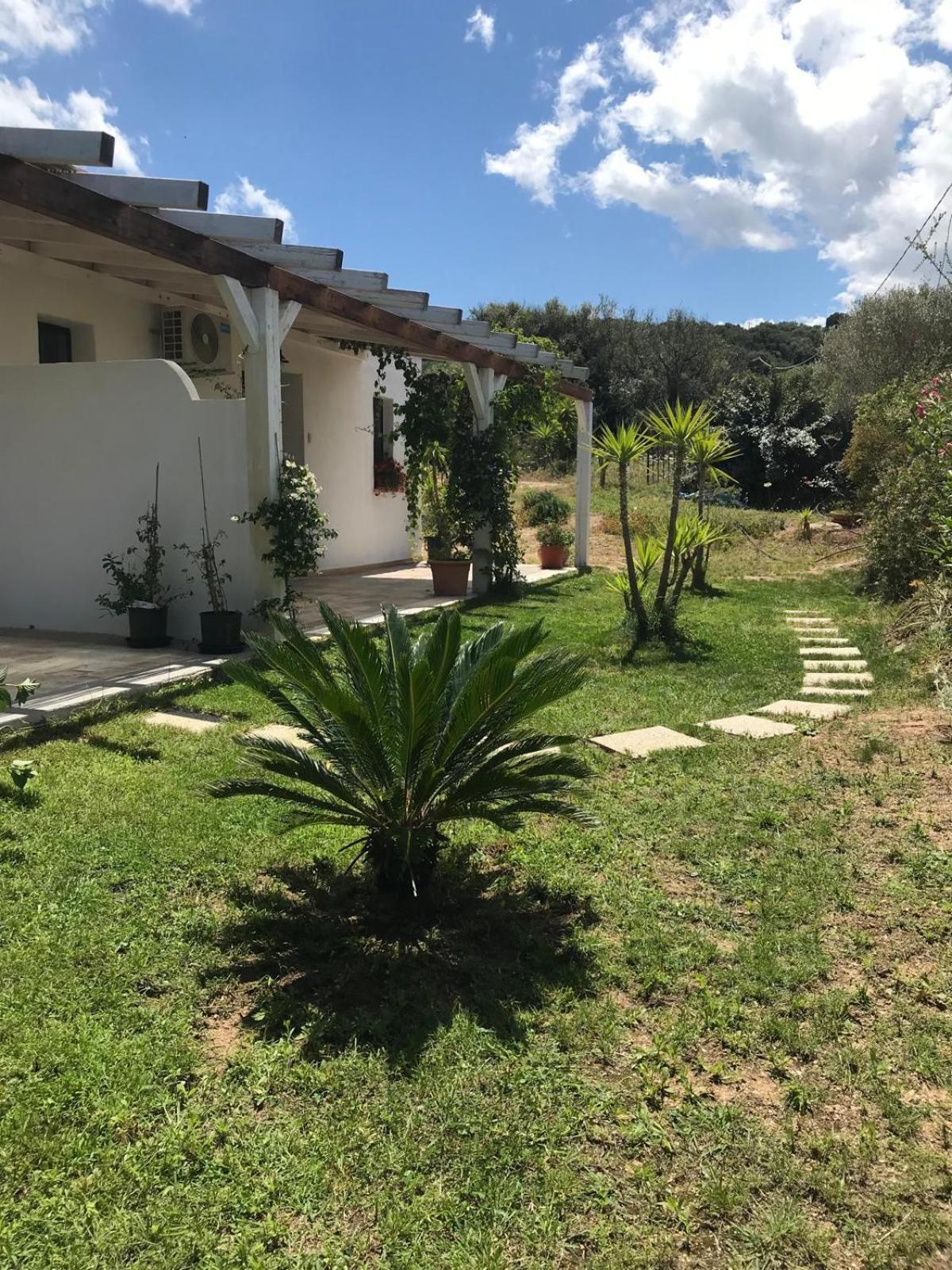 Hotel La Fragola In Campagna 6 K M Da San Pantaleo Exteriér fotografie
