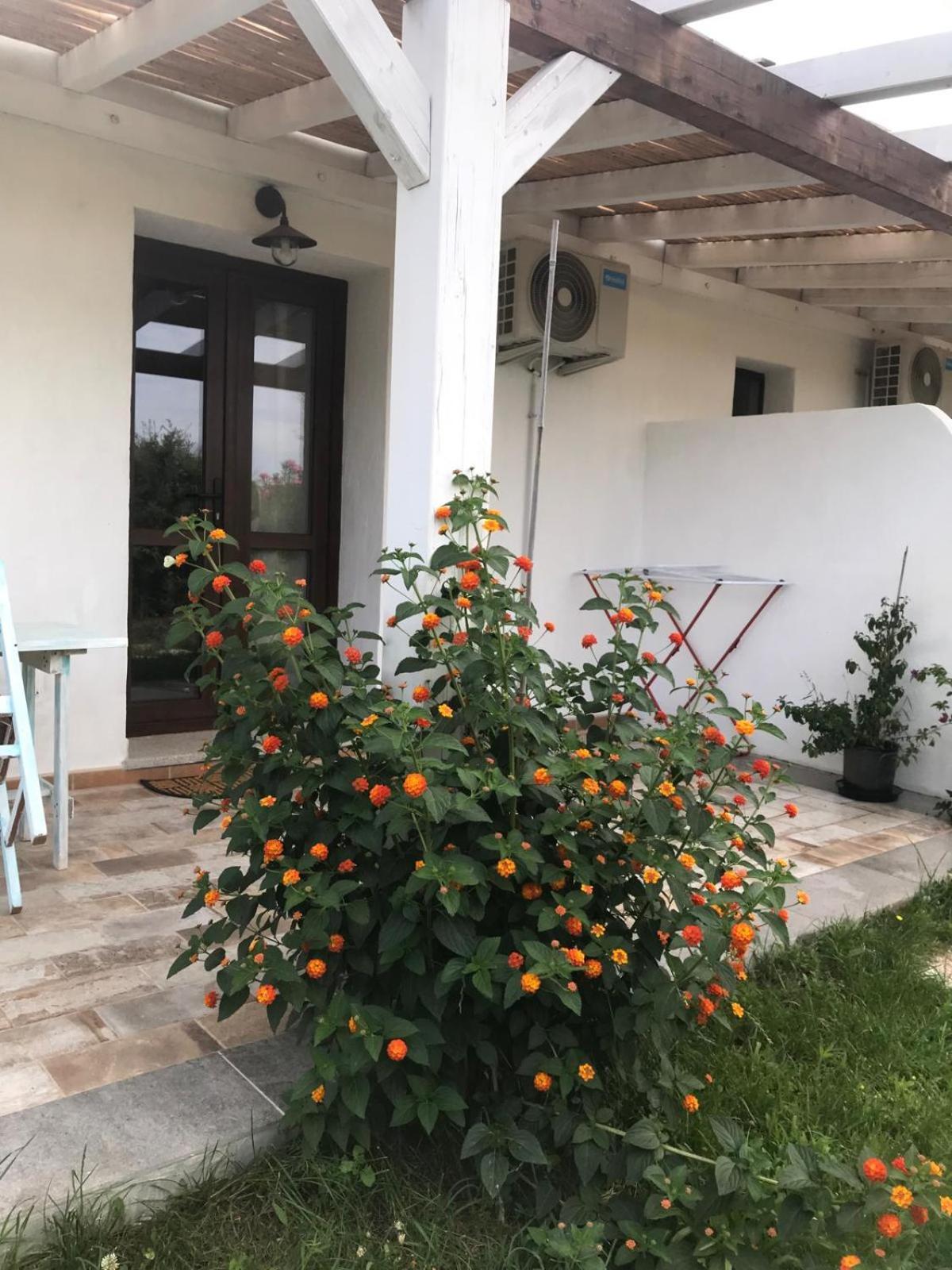 Hotel La Fragola In Campagna 6 K M Da San Pantaleo Exteriér fotografie